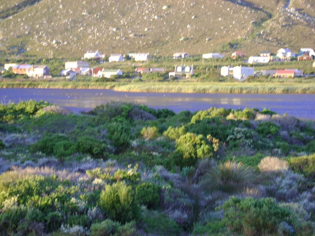 Bettyʼs Bay Vlei Studio 아파트 외부 사진