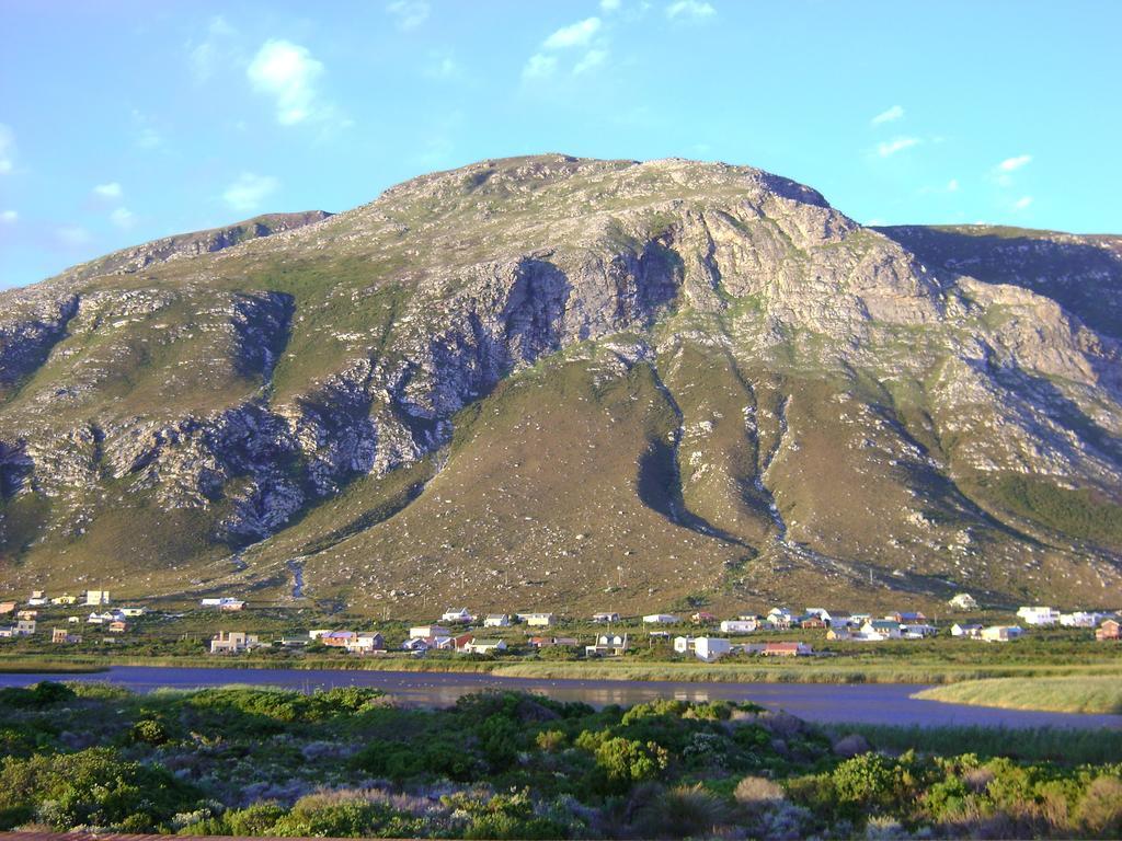 Bettyʼs Bay Vlei Studio 아파트 외부 사진