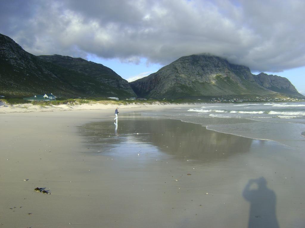 Bettyʼs Bay Vlei Studio 아파트 외부 사진